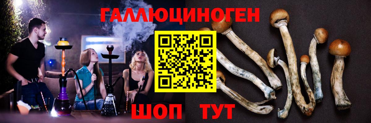 Южноуральск  Псилоцибиновые грибы мицелий  Псилоцибиновые грибы прущие грибы  Вход с VPN 